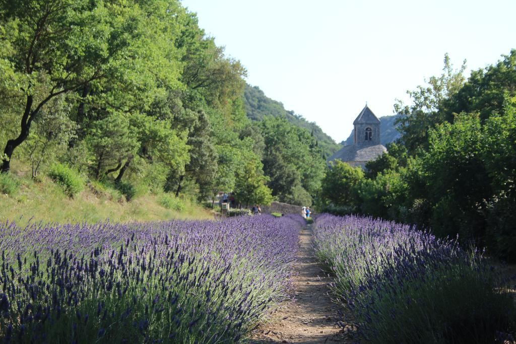 Le Mazet Du Domaine Villa Gordes Exteriör bild